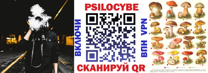 это наркотические препараты  Североуральск  Псилоцибиновые грибы Cubensis 